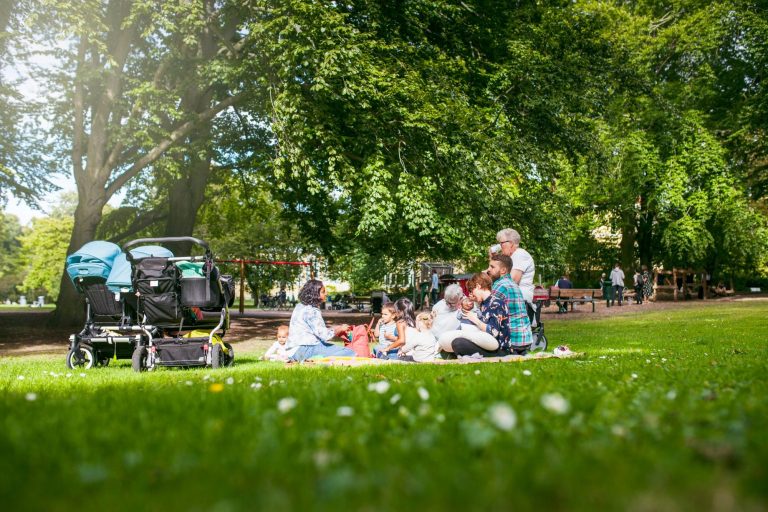 Bild einer Familie mit Kindern beim Picknick im Park.